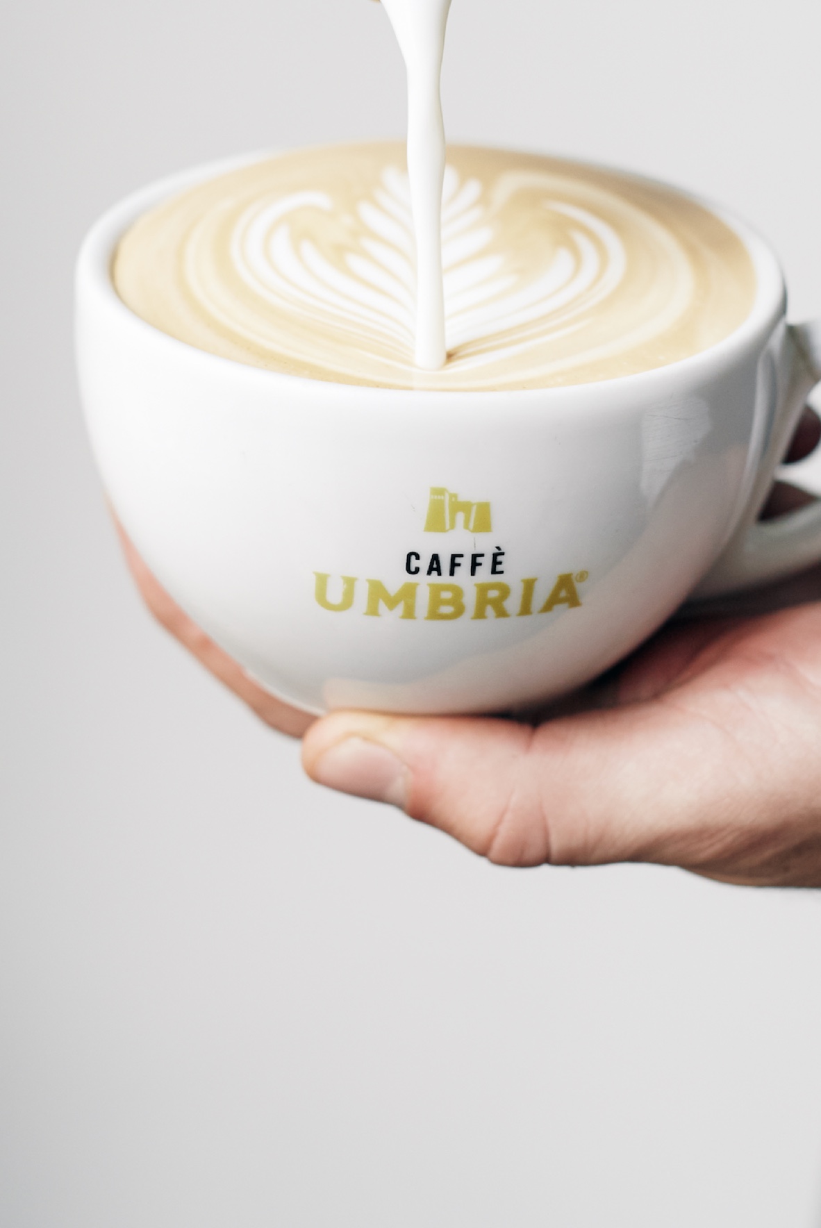 Caffe Umbria mug
